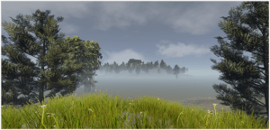 Swamp_OverviewfromHill