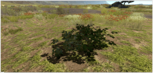 Forage for berries in the wild or plant them on your property.